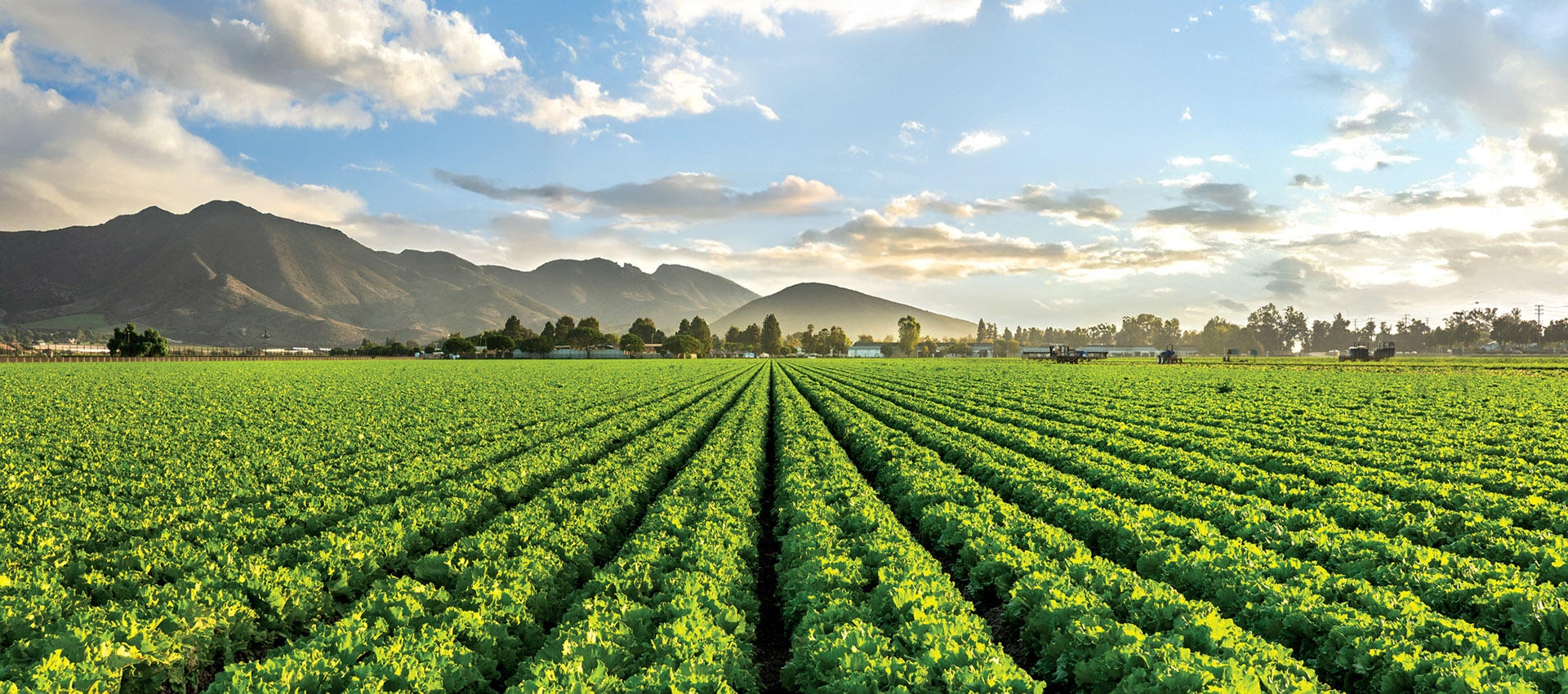 CoBank 2025 Annual Report