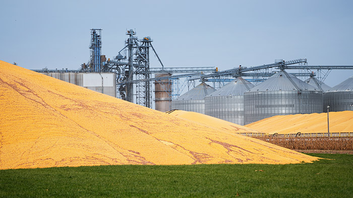 Grain Bins